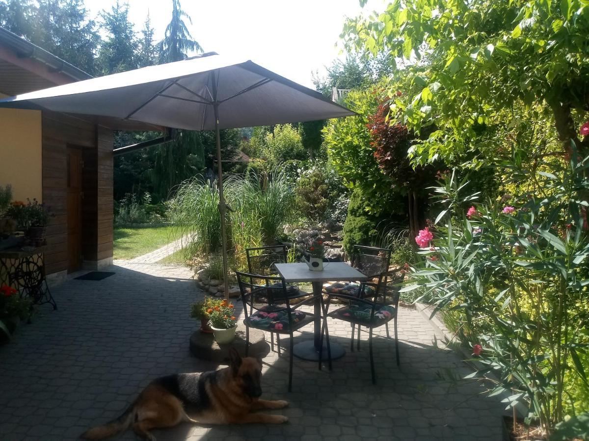 Agroturystyka U Agaty Хенцины Экстерьер фото